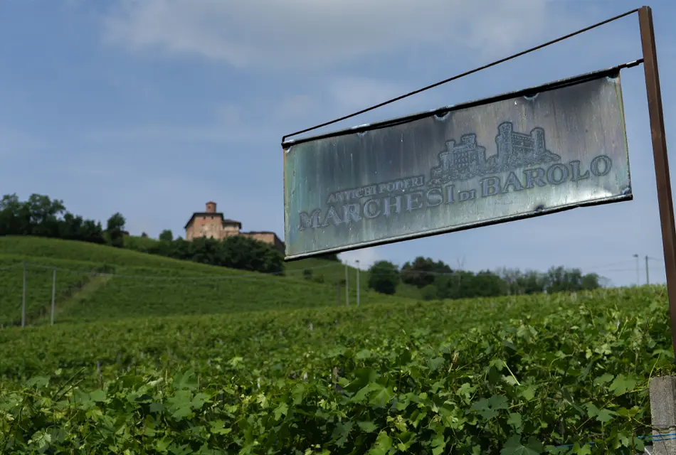 Texica ฉลองครบรอบ 16 ปี จัดงาน Perfect 20 – Italian Wine Journey รวมไวน์กว่า 100 ฉลากจาก 20 แคว้นทั่วอิตาลี