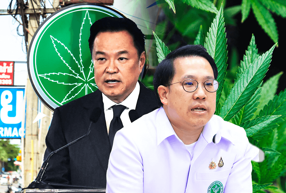 ‘กัญชาไทย’ จะไปทางไหน? จากสีเขียวที่ข้ามแดนไม่ได้ ถึงปัญหาหลังยุค ‘ปลดล็อก’