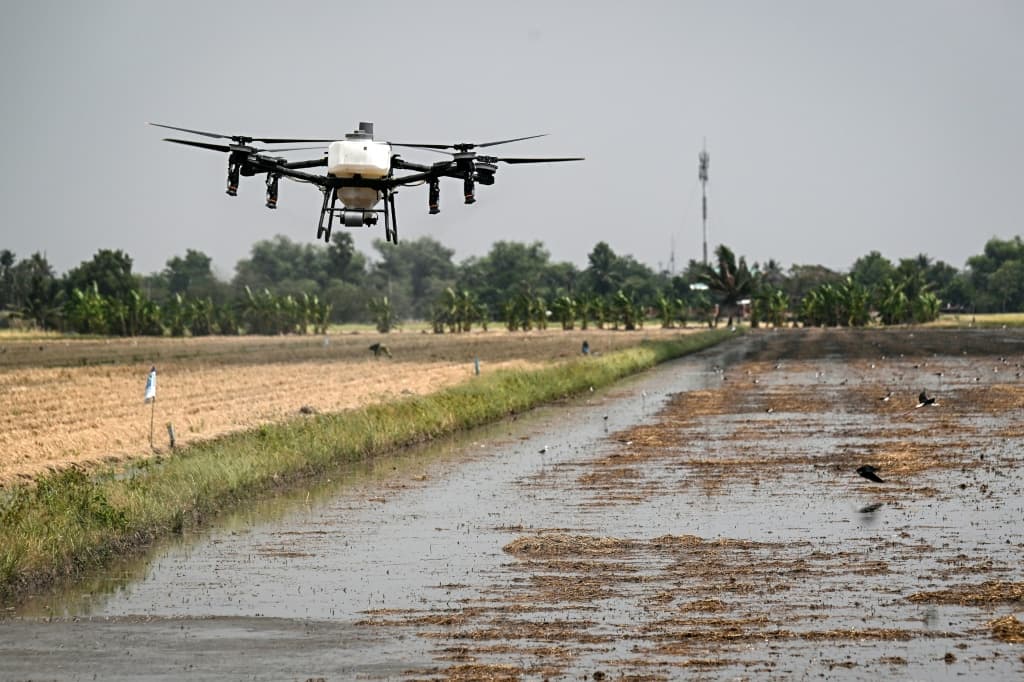 thai-farmers-use-microbes-solve-annual-rice-burning-crisis-3.jpeg