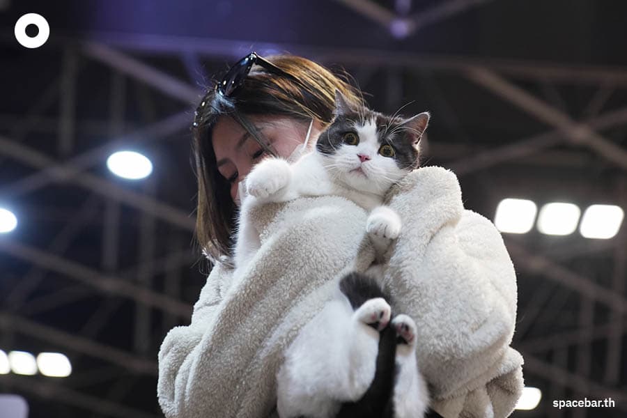 thailand_cat_show_2023_SPACEBAR_Photo08_20c8164dbb.jpeg