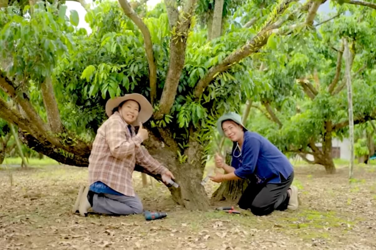 together-for-thais-theseries-SPACEBAR-Photo06.jpg