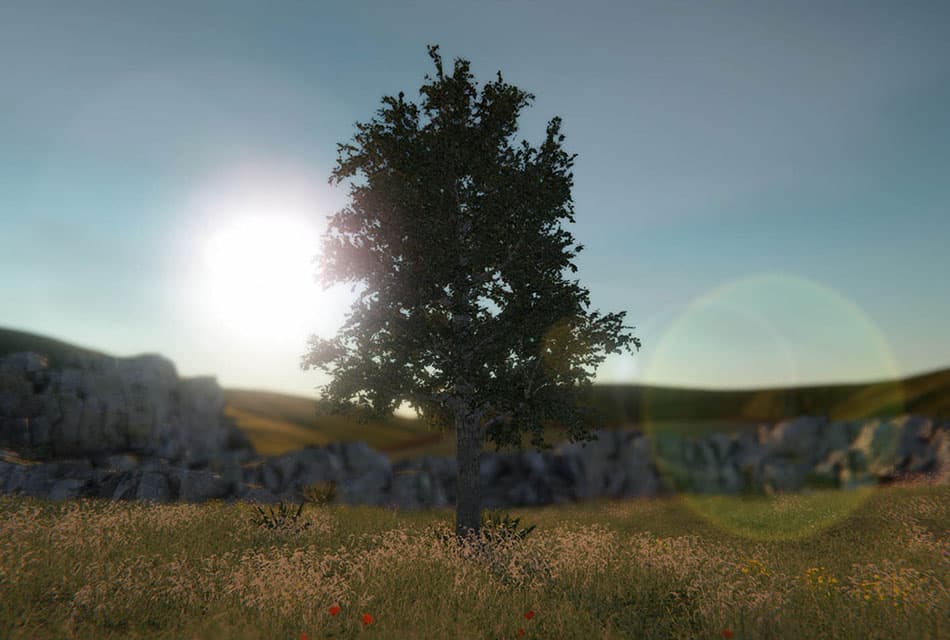 tree_simulator_game_SPACEBAR_Thumbnail_9b6be233a5.jpeg