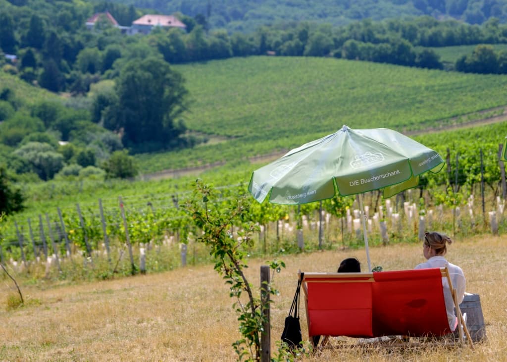 The taverns in the vineyard-lined hills are a beloved Viennese institution