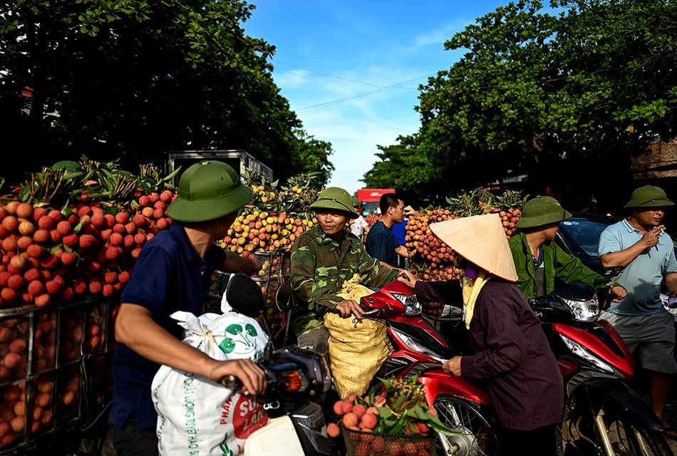 เศรษฐกิจเวียดนามสวนกระแส! GDP เติบโตเร็วสุดในรอบเกือบ 20 ปี