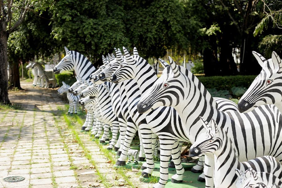 zebra_culture_SPACEBAR_Photo01_ea17a28b4b.jpeg