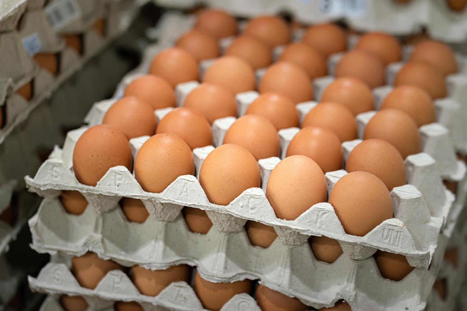 Economy- Announcement-to-reduce-the-price-of-chicken-eggs-SPACEBAR-Hero.jpg