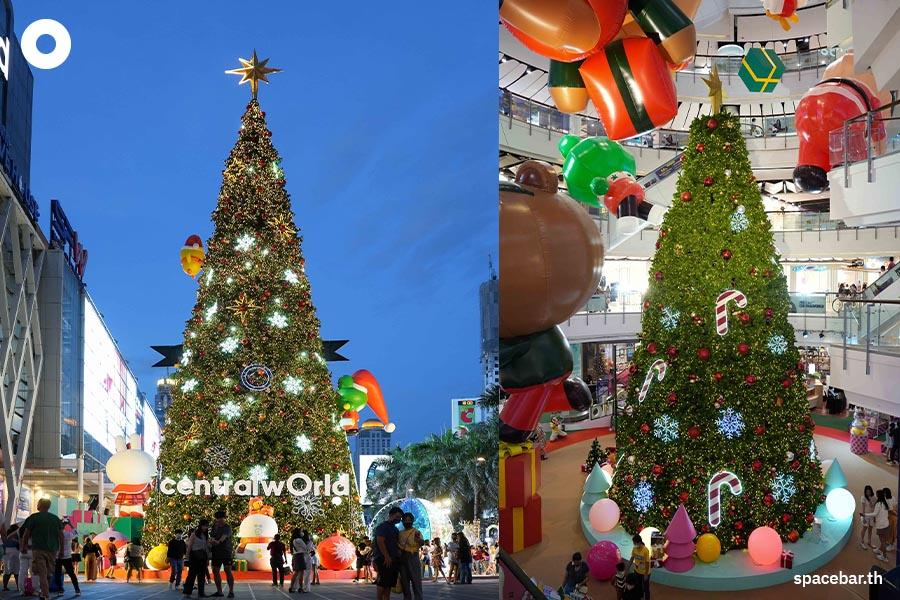 https://images.ctfassets.net/i3o8p9lzd06f/5uxyIp3tkbTsxf3H6ev1kH/acf9f6b03bb66cbb7c8da146cee8e674/Photo-Story-Christmas-Trees-2022-SPACEBAR-Photo02