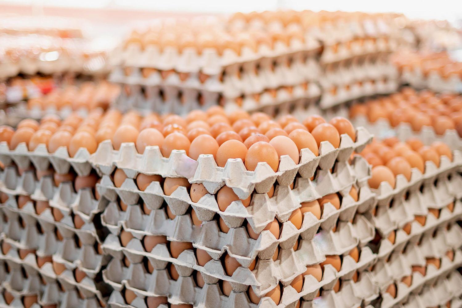 chicken-eggs-increase-price-6-baht-per-pack-today-SPACEBAR-Hero.jpg