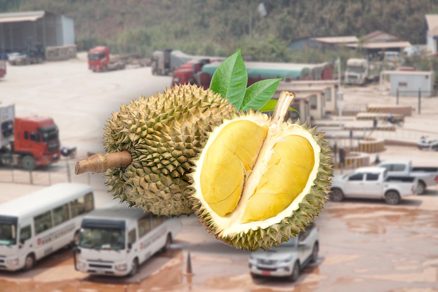 durian-160-baht-per-kilogram-transport-16-border-checkpoints-SPACEBAR-Hero.jpg