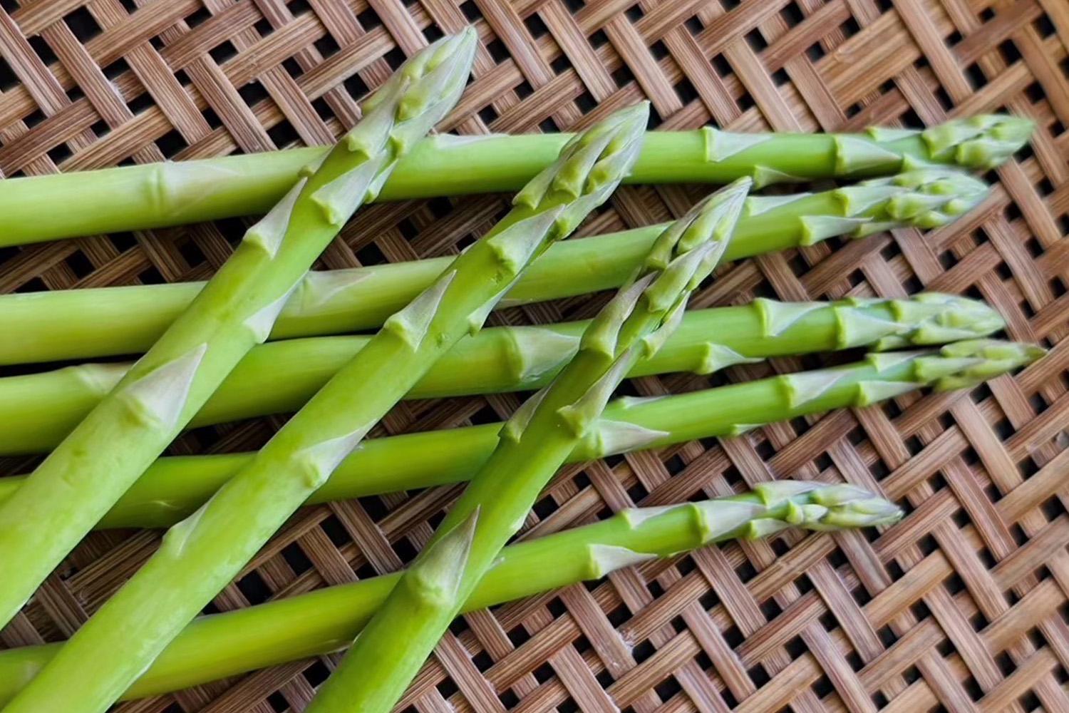 economic-asparagus-export-thai-SPACEBAR-Hero.jpg