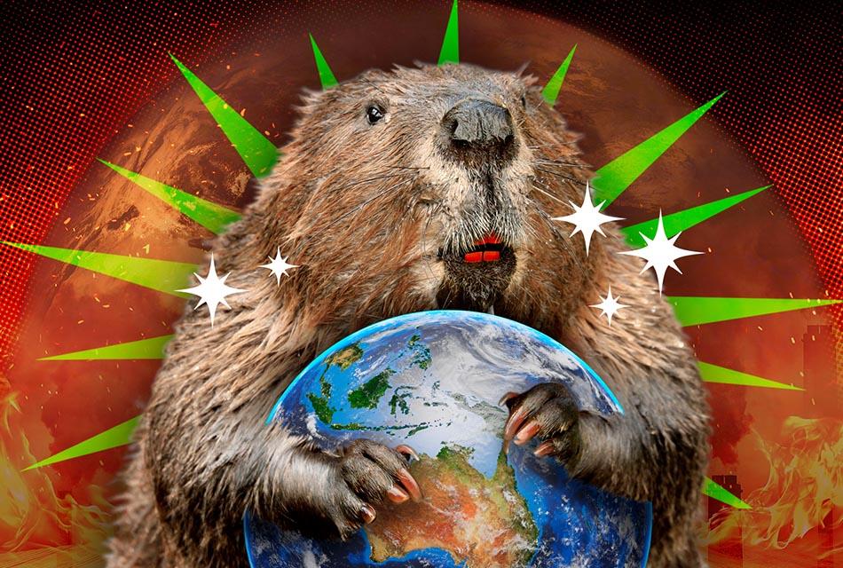 how-beaver-save-the-world-from-global-warming-SPACEBAR-Thumbnail.jpg