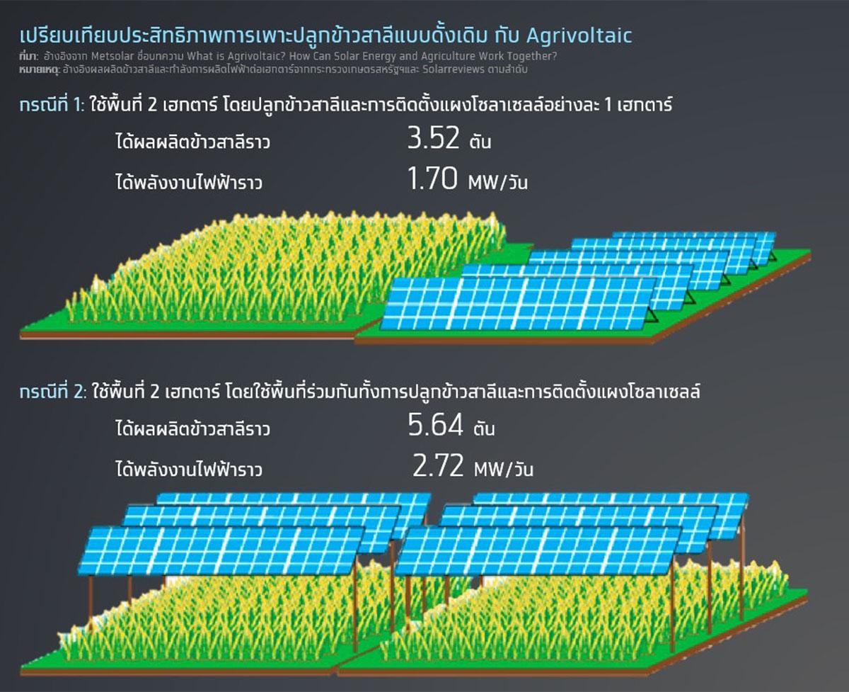krungthai-compass-agrivoltaic-solar-energy-esg-SPACEBAR-Photo05.jpg