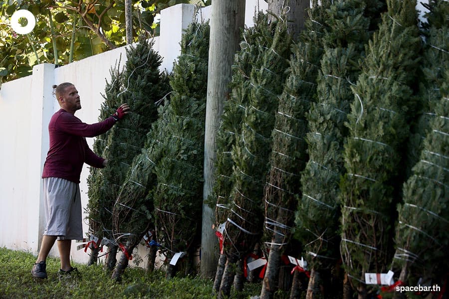 1_Why_Christmas_trees_are_scarce_more_expensive_year_2022_natural_artificial_SPACEBAR_Photo05_4a008cd994.jpeg