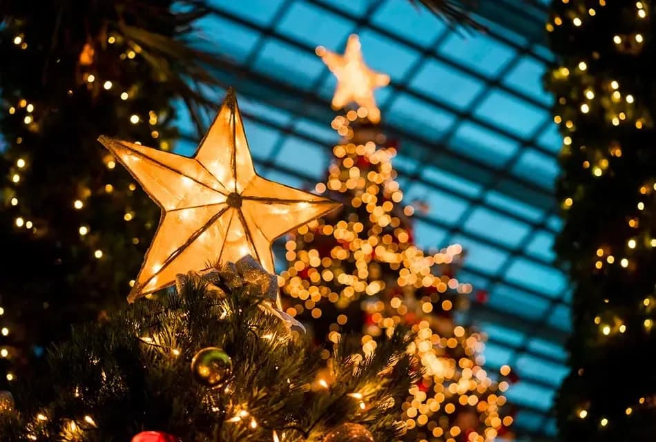 1_Why_Christmas_trees_are_scarce_more_expensive_year_2022_natural_artificial_SPACEBAR_Thumbnail_dc51244d08.webp
