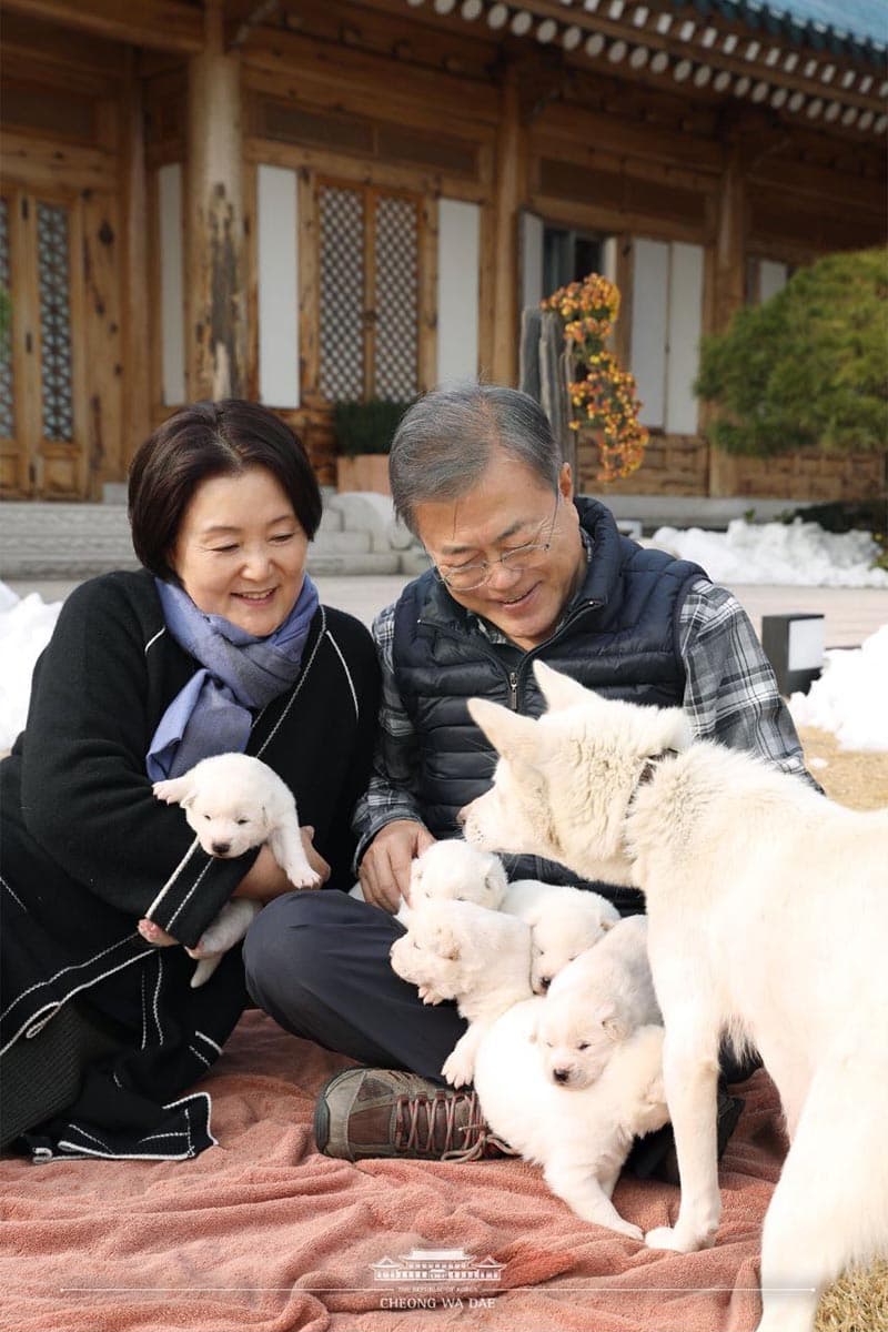 Animal_diplomacy_exchange_president_world_SPACEBAR_Photo_V01_af44c48e8d.jpeg