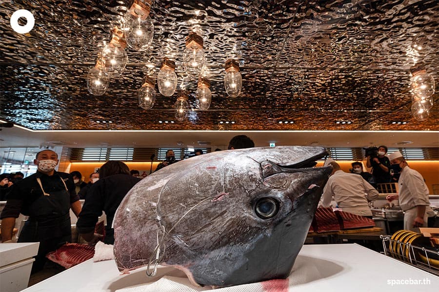 Business_the_economics_rising_appetite_and_price_for_bluefin_tuna_SPACEBAR_Photo01_8472c1167e.jpeg