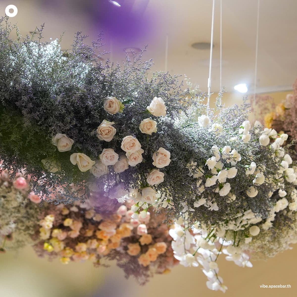 Central_76th_anniversary_into_the_season_of_happiness_SPACEBAR_Photo06_6effbdcb34.jpg