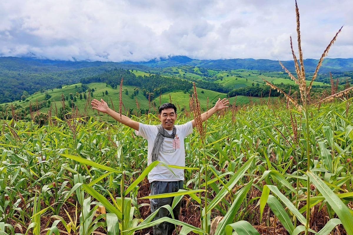 Chiang Mai-farmers-point-out-that-corn-prices-are-falling-but-production-costs-are-high-and-urge-the-government-to-quickly-solve-the-problem-SPACEBAR-Photo07.jpg