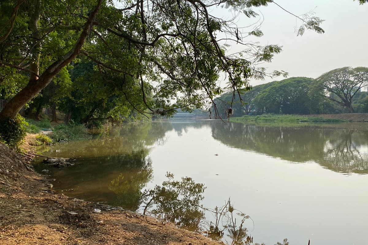 Chiang_Mai_accelerates_dredging_of_Ping_River_urgent_flood_prevention_measure_SPACEBAR_Photo08_25db035efd.jpg