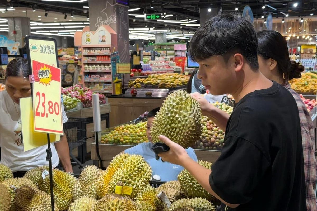 China-durian-import-market-surges- focusing-on-quality-and-systems-ASEAN-accelerates-adjustments-to-compete-SPACEBAR-Photo01-1.jpg