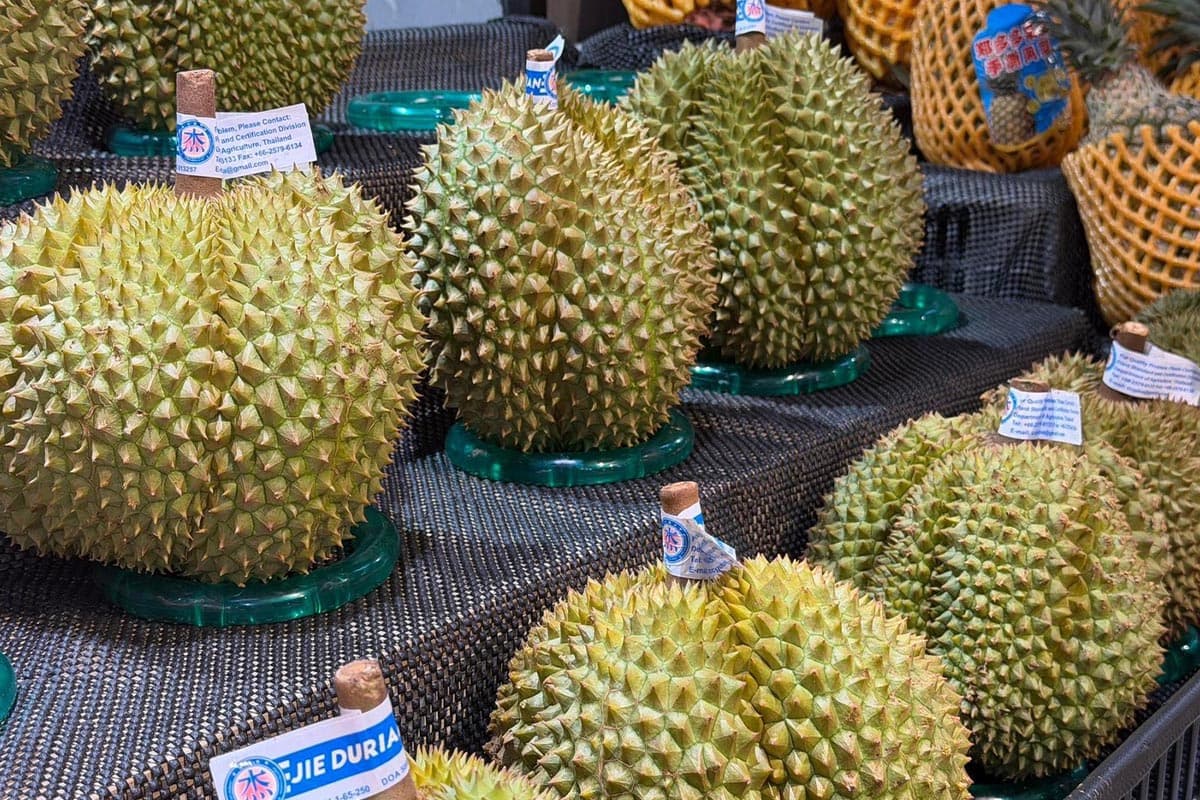 China-durian-import-market-surges- focusing-on-quality-and-systems-ASEAN-accelerates-adjustments-to-compete-SPACEBAR-Photo02.jpg