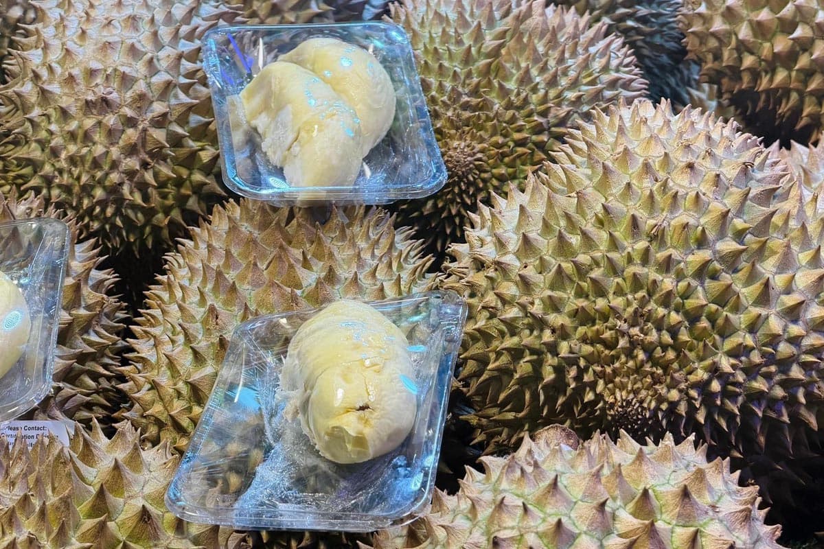 China-durian-import-market-surges- focusing-on-quality-and-systems-ASEAN-accelerates-adjustments-to-compete-SPACEBAR-Photo03-1.jpg