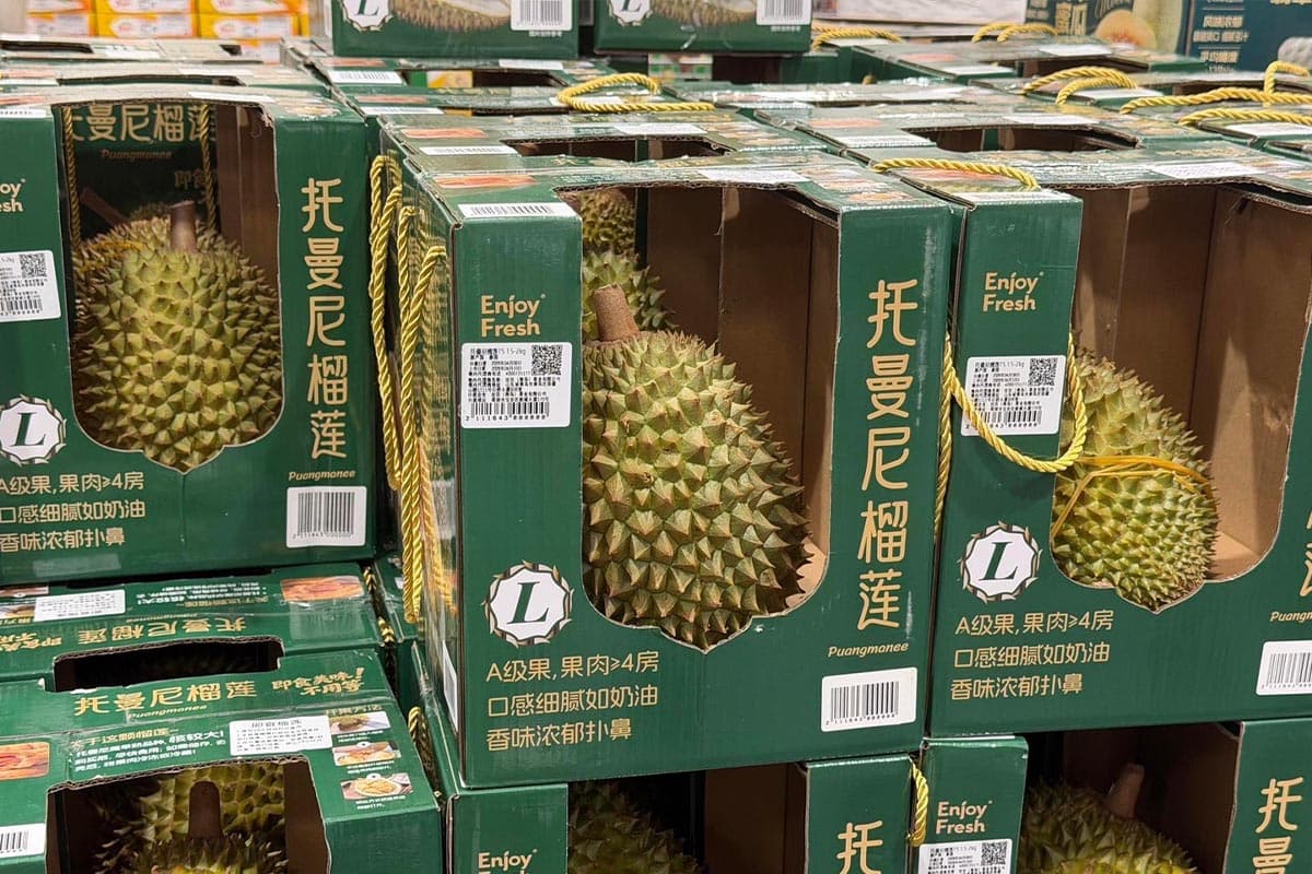 China-durian-import-market-surges- focusing-on-quality-and-systems-ASEAN-accelerates-adjustments-to-compete-SPACEBAR-Photo04.jpg