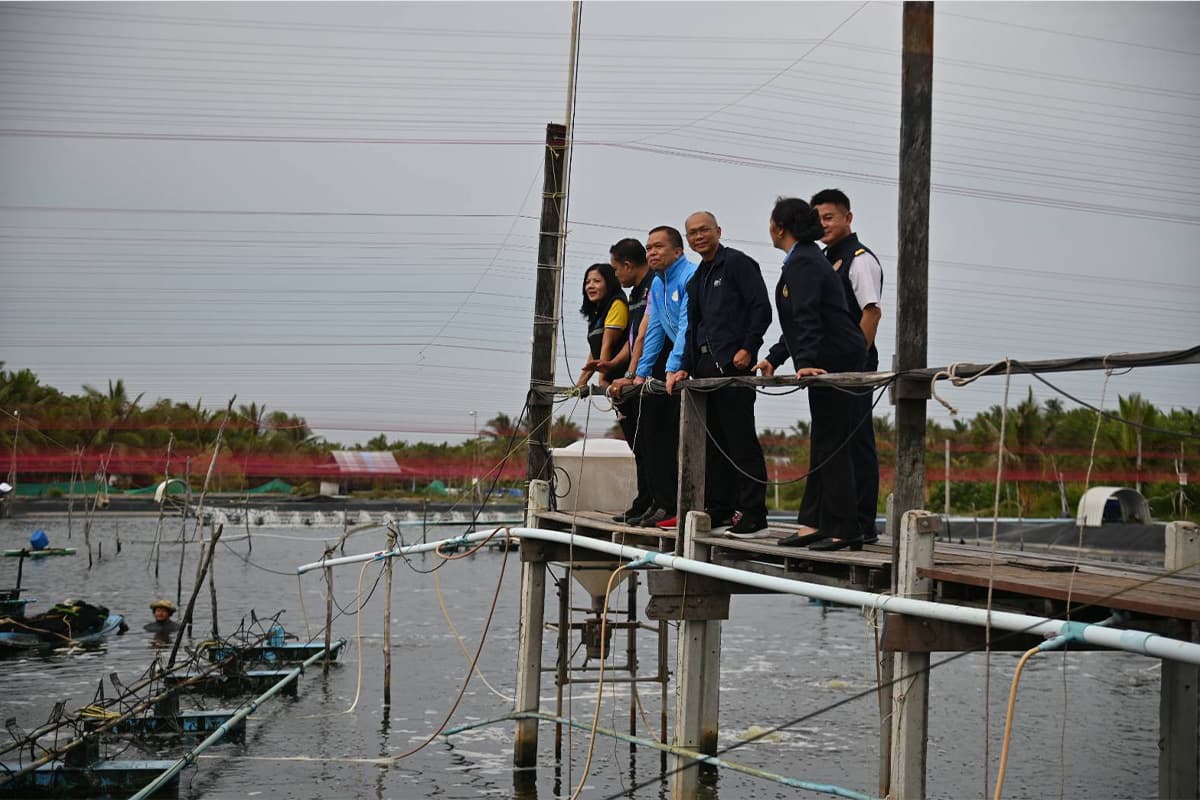 DIT_shrimp_distribution_point_Nakhon_Si_Thammarat_agricultural_SPACEBAR_Photo02_40d7478705.jpeg