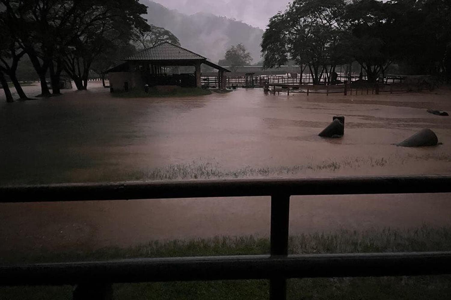 Director_of_the_Elephant_Care_Center_Mae_Taeng_Chiang_Mai_posted_about_tragic_day_SPACEBAR_Hero_c8fa7ea5d8.jpg