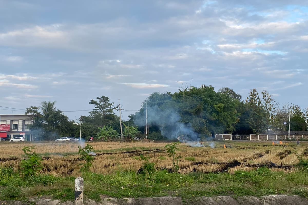 Farmers-in-northern-Thailand-are-taking-steps-to-address-the-problem-of-forest-fire-smoke-SPACEBAR-Photo03.jpg