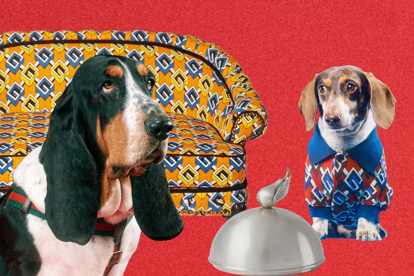 Gucci_pet_collection_Main_1c64c1aeb5.jpeg