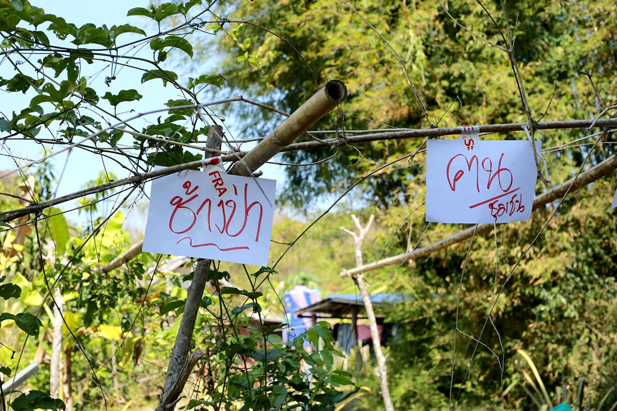 Honeycomb fences-in-Khon Kaen-offer-an-alternative-for-peaceful-coexistence-between-humans-SPACEBAR-Photo03.jpg
