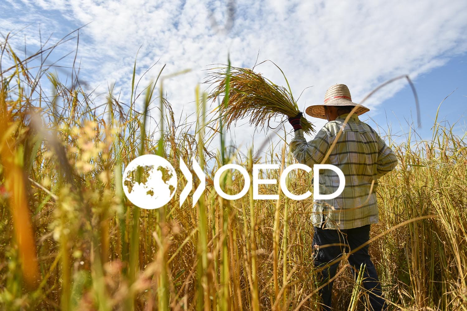 ยกระดับเกษตร เจาะลึกข้อดี-ข้อเสีย เมื่อเข้า OECD บังคับให้เราต้องโต