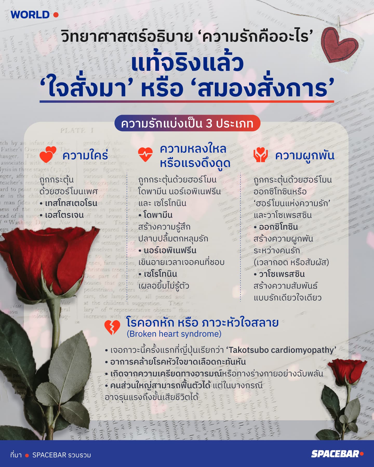 Info_a9bf603a44.jpeg