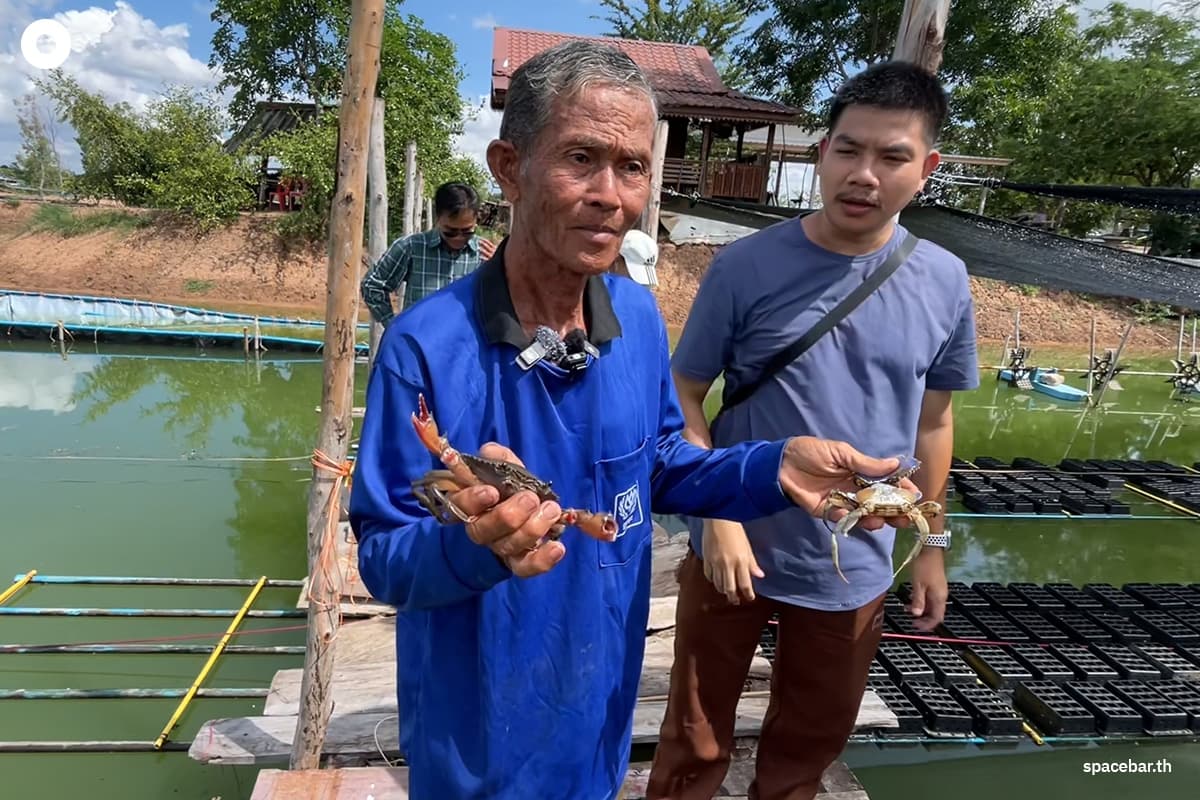 KhonKaen-turns-salty-rice-fields-into-black-crab-farms-for-income-generation -SPACEBAR-Photo07.jpg
