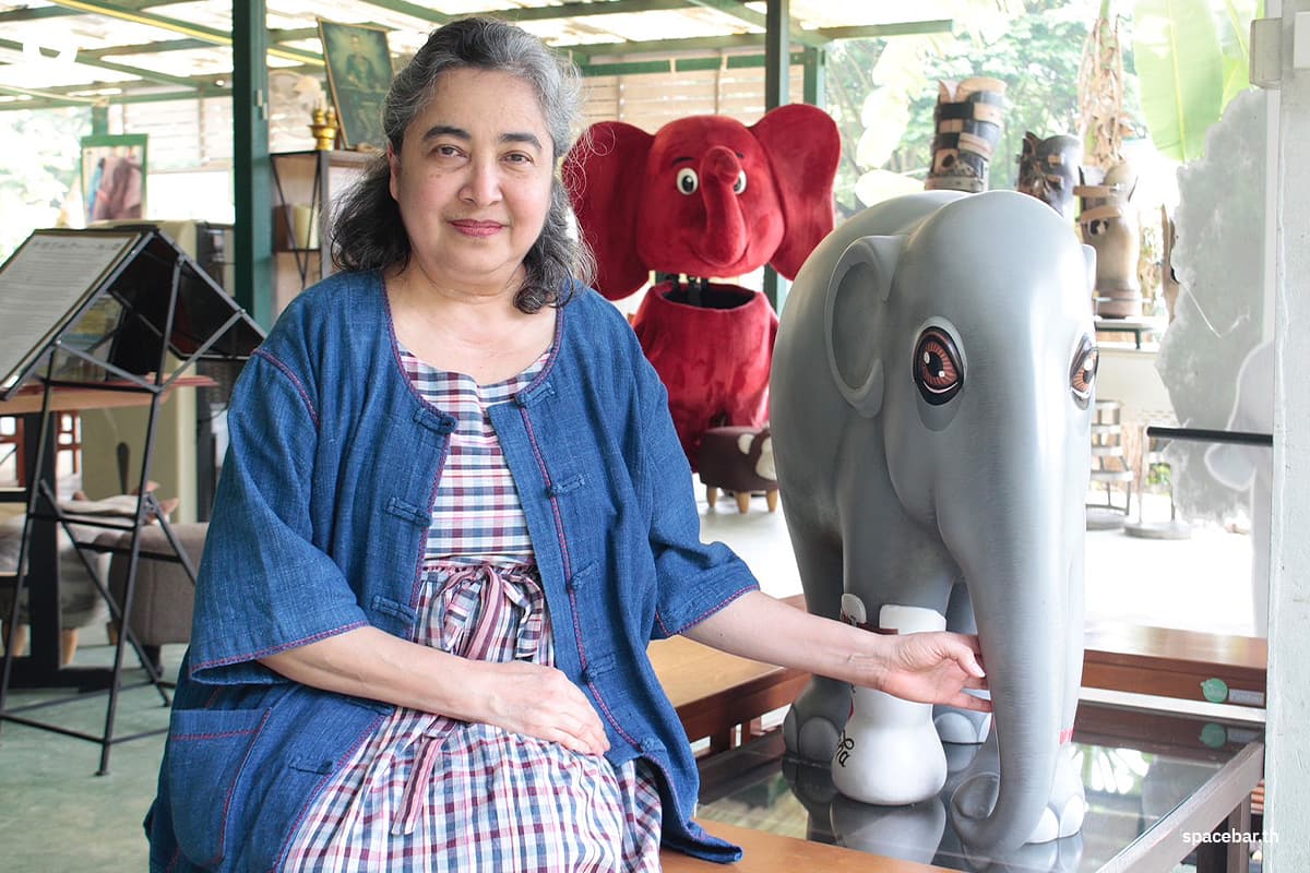 Lessons_learned_from_moving_elephants_to_prepare_for_disasters_SPACEBAR_Photo09_ce4d28c49a.jpg
