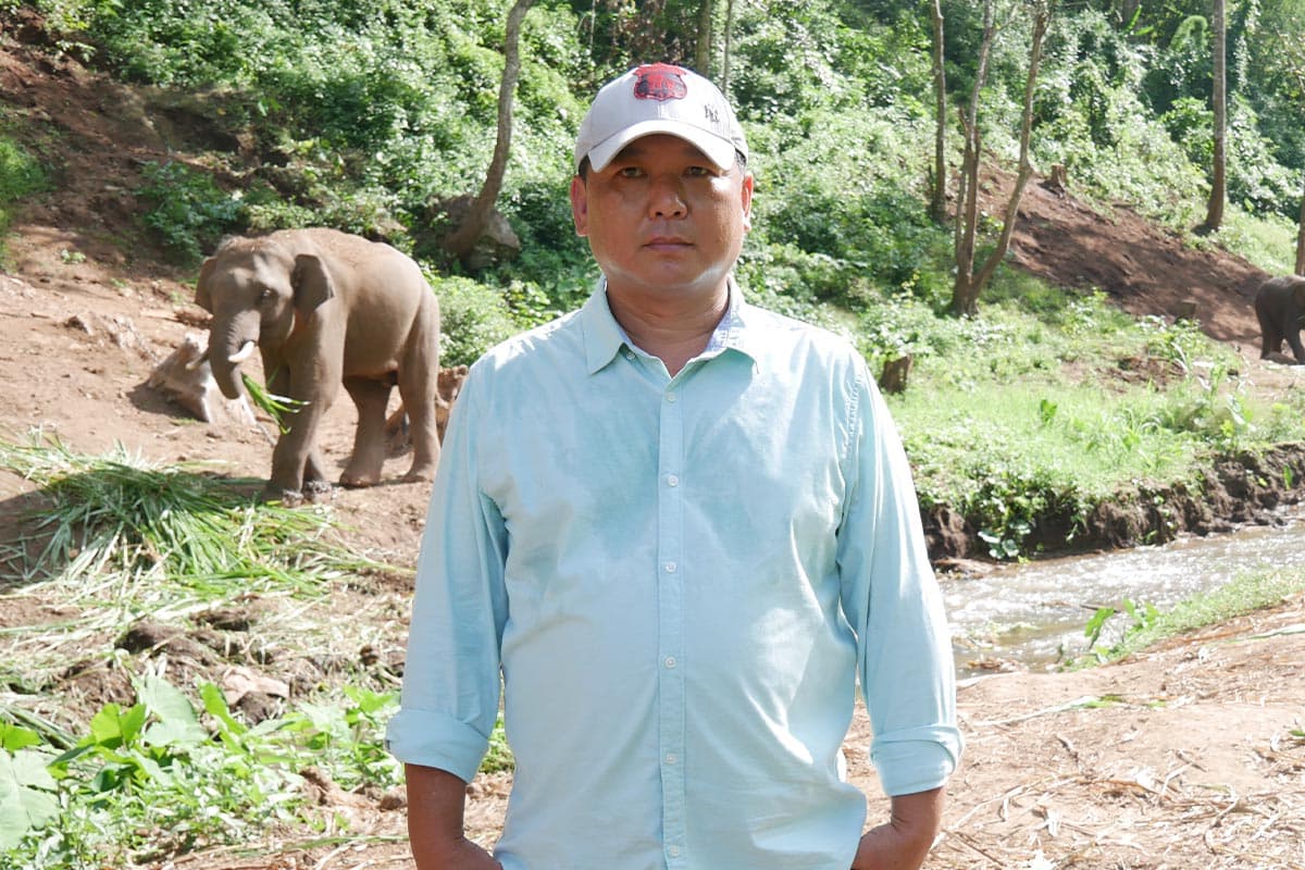 Look_at_the_Elephant_Plai_Dok_Kaew_Staying_comfortably_in_your_new_home_SPACEBAR_Photo11_c9555f42c2.jpg