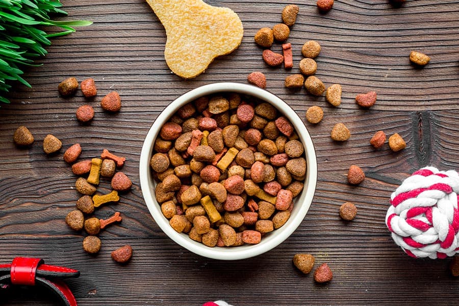 MOC_export_pet_food_products_China_market_GACC_growth_SPACEBAR_Photo02_ccb66a14cf.jpeg