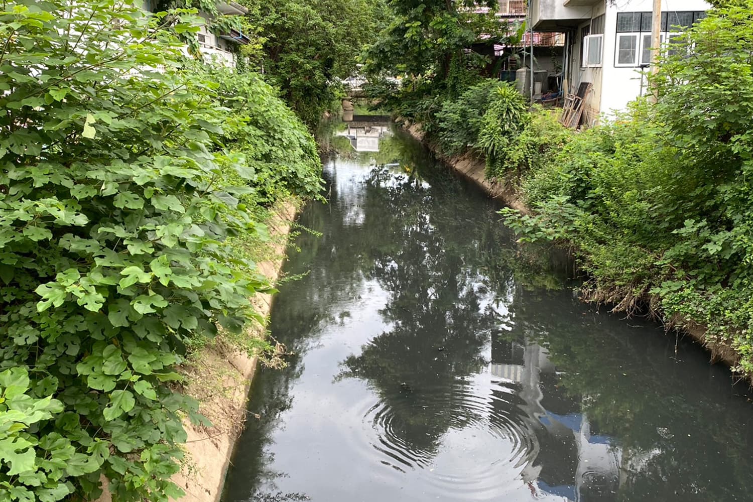 “คลองแม่ข่าเน่าเสีย” ปัญหาเมืองเชียงใหม่ที่ยังไร้ทางออก กระทบประชาชนพื้นที่ปลายน้ำเดือดร้อน