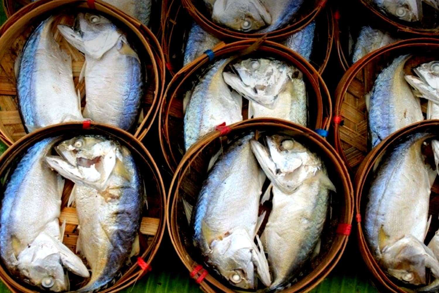 Mae_Klong_Mackerel_Geographical_Indication_GI_Samut_Songkhram_SPACEBAR_Hero_5bd4fdcc3b.jpeg