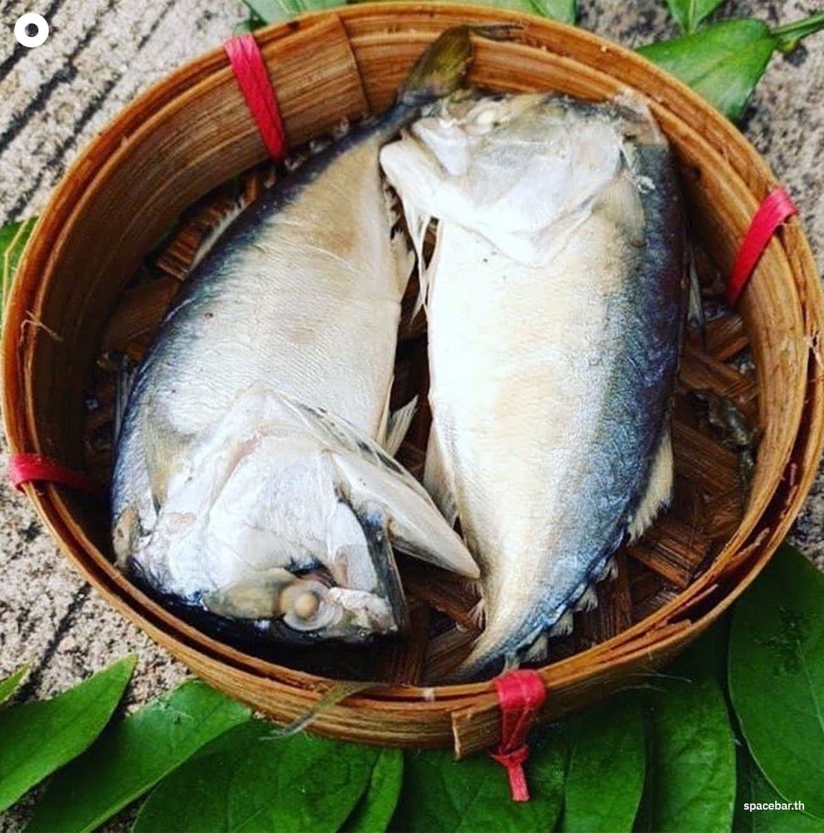 Mae_Klong_Mackerel_Geographical_Indication_GI_Samut_Songkhram_SPACEBAR_Photo01_55eba88ac3.jpeg