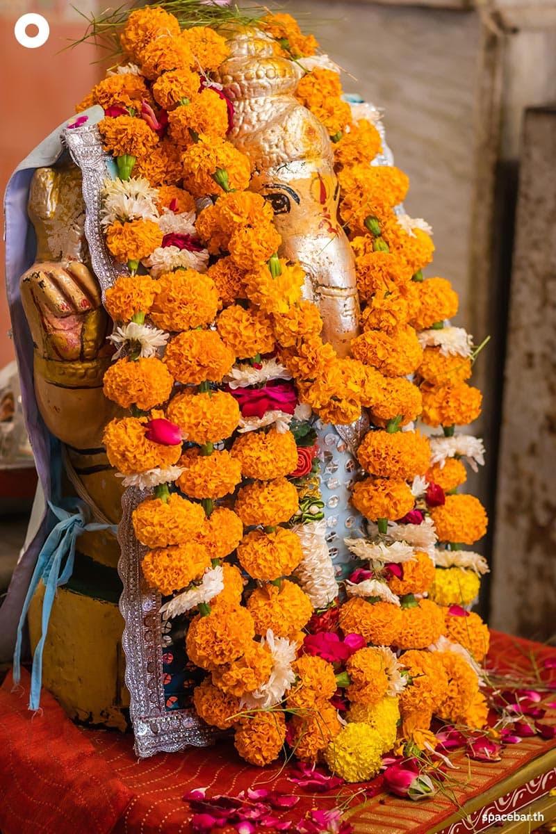 Marigold_Garland_Thai_Politician_SPACEBAR_Photo02_d44a69a93f.jpeg