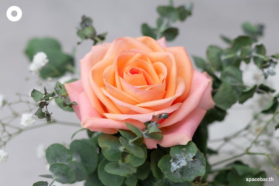 Meaning_of_flowers_SPACEBAR_Photo01_c173f1a0ee.jpeg