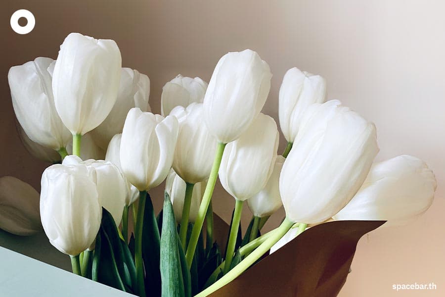 Meaning_of_flowers_SPACEBAR_Photo02_f368667e3b.jpeg