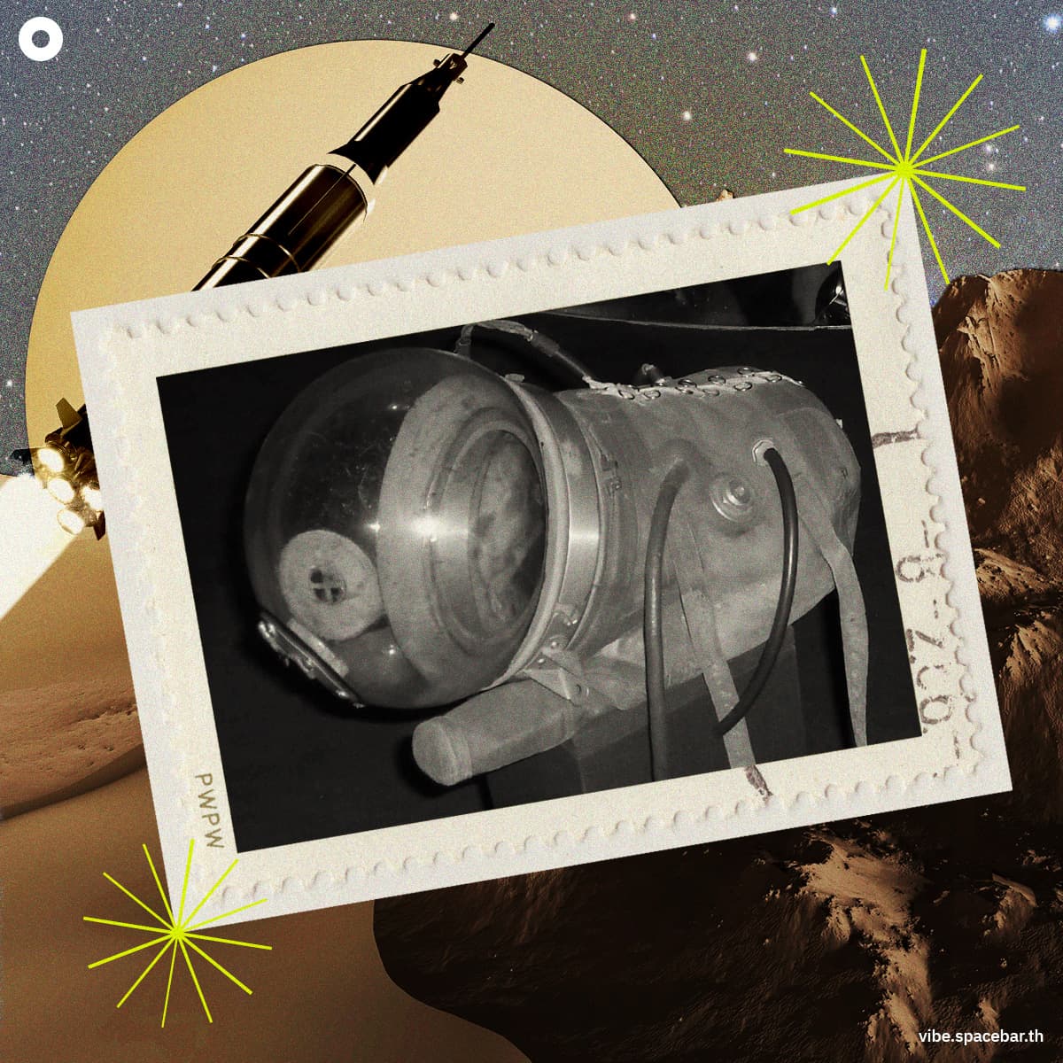 On_This_Day_Laika_The_Dog_From_Earth_To_Space_SPACEBAR_Photo_SQ_01_copy_d3a5641781.jpg