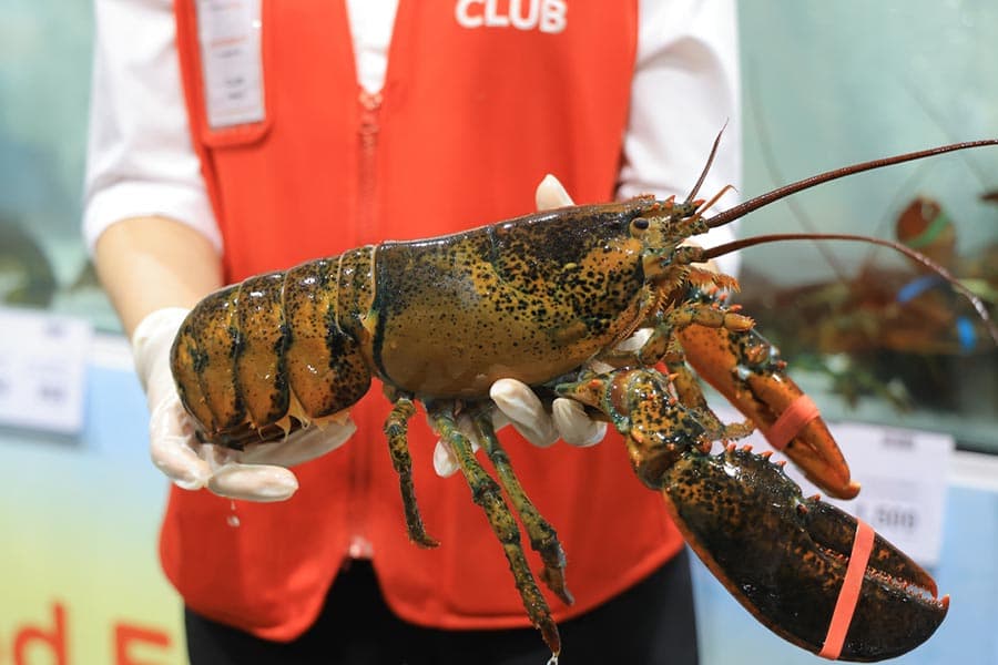 PR_Tops_club_live_seafood_tank_SPACEBAR_Photo02_0d55470078.jpeg