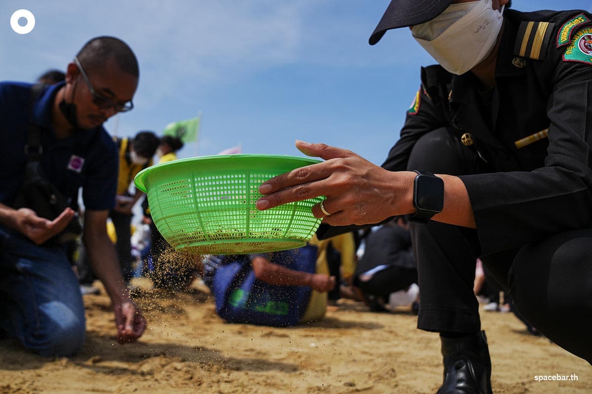 People_collecting_rice_seeds_after_The_Royal_Ploughing_Ceremony_SPACEBAR_Photo02_7683d59146.jpeg