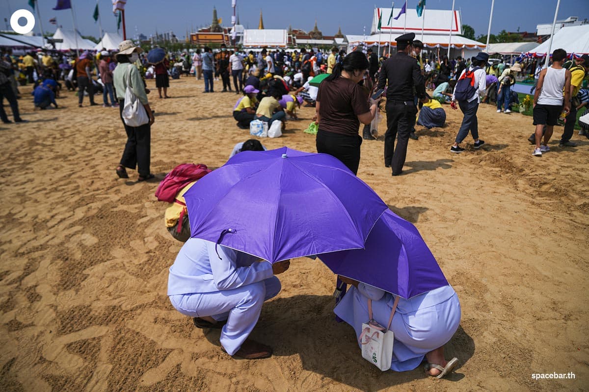People_collecting_rice_seeds_after_The_Royal_Ploughing_Ceremony_SPACEBAR_Photo05_22ee0a61a4.jpeg