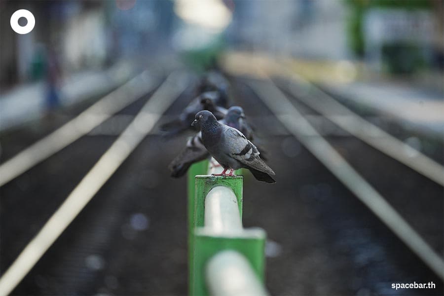 Photo_Story_Life_at_Krung_Thep_Aphiwat_Central_Terminal_Station_SPACEBAR_Photo10_62741ddba0.jpeg