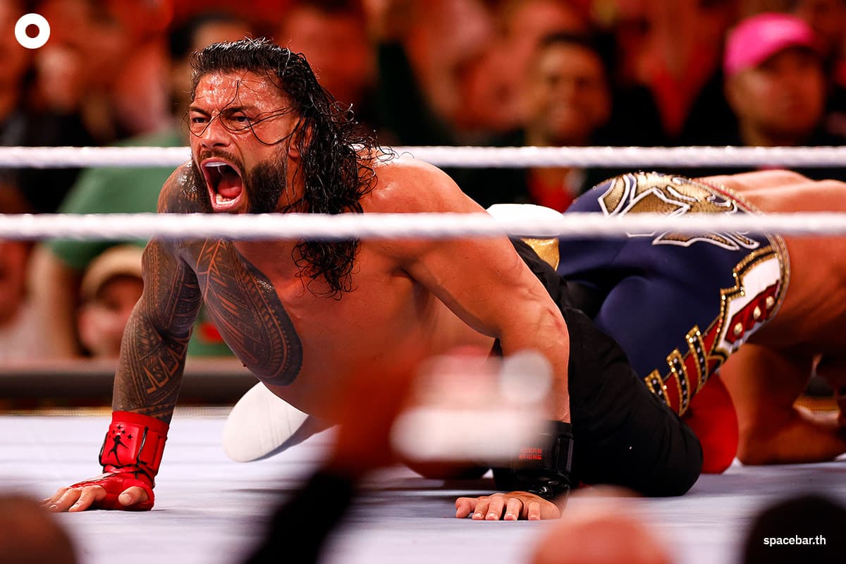 Photo_story_and_review_Wrestle_Mania_Night_2_SPACEBAR_Photo13_dab5713035.jpeg